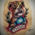 Traditional colored dog boxer in blue glowes and banner tattoo design
