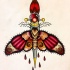 Traditional colorful moth killed with dagger tattoo design