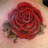 tradizionale fiore rosa con foglie verde tatuaggio