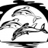 Tribal dolphin trio on huge sunset tattoo design