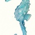 Turquoise seahorse with white flower print tattoo design
