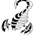 Unique-shaped half-black half-white scorpion tattoo design