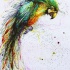 Untidy watercolor parrot in splashes tattoo design