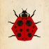 Unusual colored geometric-style ladybug tattoo design