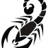 Unusual shape full black scorpion tattoo design
