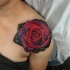 Very realistic rose tattoo on shoulder