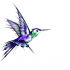 Violet hummingbird with green neck tattoo design