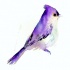 Violet watercolor bird tattoo design