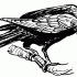 Wonderful big black-line raven tattoo design