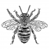 Wonderful black-ink bee tattoo design