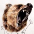 Wonderful brown sreaming grizzly head tattoo design
