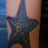 Tatuaje en el brazo, estrella de mar rara de color azul oscuro