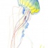 Yellow-and-blue jellyfish with long red tentacles tattoo design