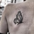 Tatuaggio scapolare di farfalla in inchiostro nero accurato di Inez Janiak