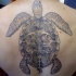 Tatuaje en la espalda, tortuga maorí increíble