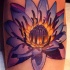 Tatuaje  de loto fantástico