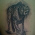 eccezionale inchiostro grigio ghepardo  dimensione pieno tatuaggio