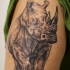 Tatuaje en el brazo,
rinoceronte gris realista