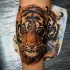 Tatuaje en la pierna,
tigre impresionante realista