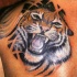 eccezionale tigre colorato tatuaggio sulla spalla