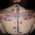 Tatuaje en la espalda, libélula grande gris