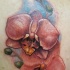 impressionante detagliata orchidee rosse tatuaggio