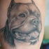 stupendo inchiostro grigio cane Rottweiler tatuaggio
