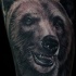 Tatuaje en el antebrazo,
retrato de un oso bueno
