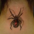 Beautiful  spider tattoo on neck