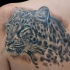 Tatuaje en el hombro,
jaguar sabio hermoso