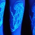 bellissima medusa luce nera tatuaggio