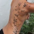 bellissimo dipinto grande bianco e nero vari uccelli tatuaggio a meta schiena
