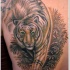 bellissimo dipinto bello colorato grande tigre tatuaggio su spalla