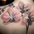 bellissimi realistici orchidee rosa tatuaggio sulla schiena