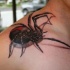 Beautiful realistic spider  tattoo on shoulder
