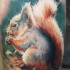 Tatuaje  de ardilla hermosa realista