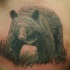 Tatuaje en el pecho, oso pardo en la hierba