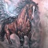 bellissimo grande cavallo scuro tatuaggio su petto di uomo
