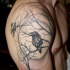 Tatuaje en el hombro,
árbol seco con cuervos negros