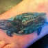 Tatuaje en el pie, tortuga  linda bajo el agua