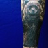 Tatuaje  de oso pardo bonito simple en el antebrazo