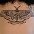 Tatuaje en la espalda, polilla gris agradable