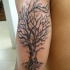 albero grande realistico tatuaggio mezza manica