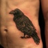 Tatuaje en el costado, 
 cuervo negro simple detallado