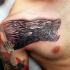 Black and gray style cool looking demonic wolf tattoo on shoulder and chest