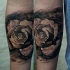 Black and gray style detailed looking arm tattoo of rose flower