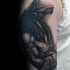 Black and gray style detailed shoulder tattoo of Egypt Anubis God