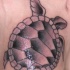 Tatouage tortue en noir et blanc ombré