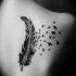 Tatuaje en la espalda, pluma elegante con aves