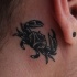 granchio nero tatuaggio dietro orecchio